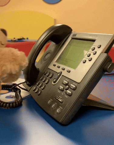 cute bear dialing and picking up the phone