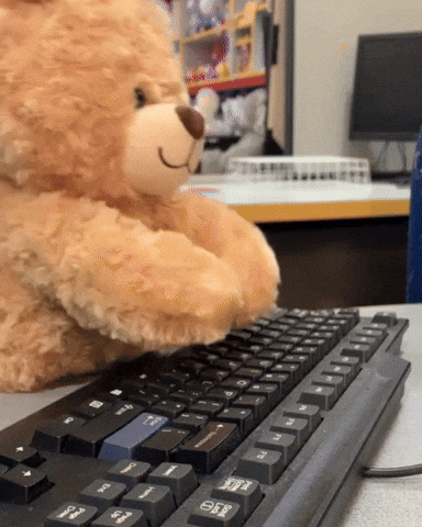 cute bear typing on a keyboard
